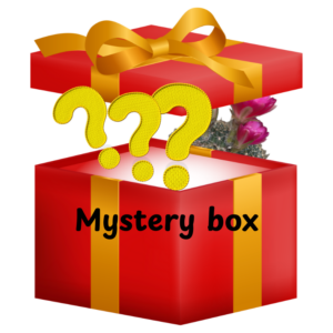 Pachet surpriza (mystery box)